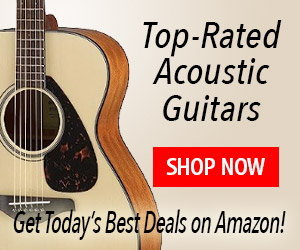 Get the Best Price on a Professional Acoustic Guitar