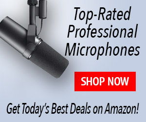 Get the Best Price on a Professional Microphone