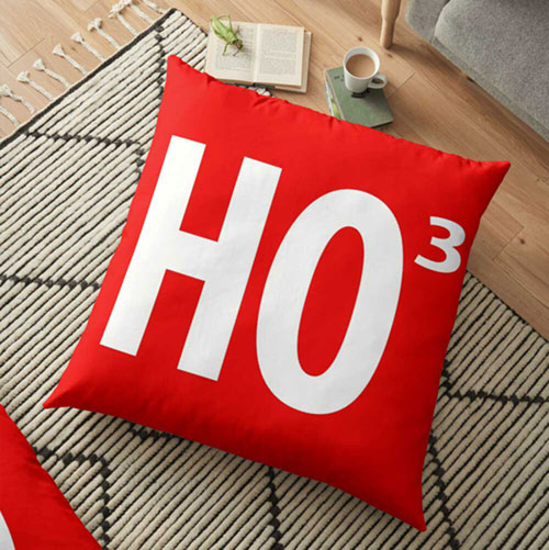 Pro Acting Home  Camp Holiday Pillows and Other Fun Gifts